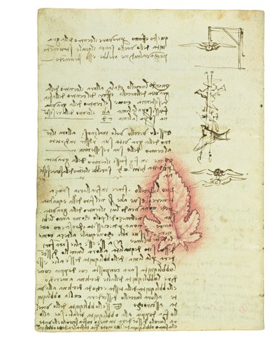 Codex over de vlucht van vogels, Folio 15 verso door Leonardo da Vinci